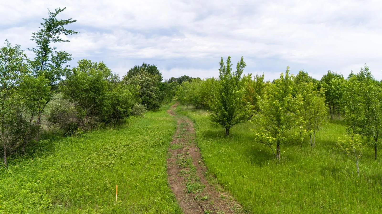 5.93 Acres on the Long Prairie River
