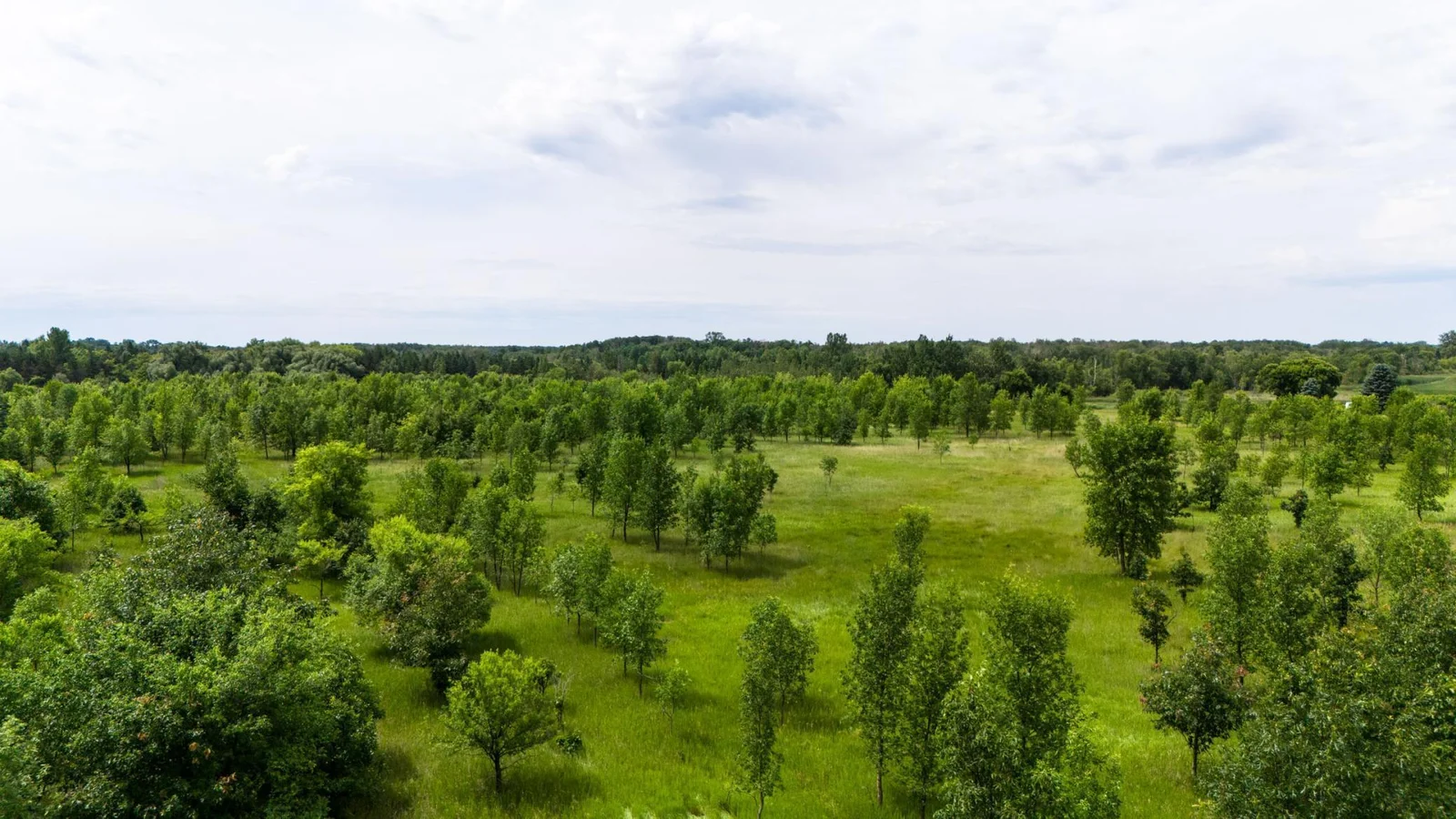 Peaceful 5.93-Acre Lot on the Long Prairie River!