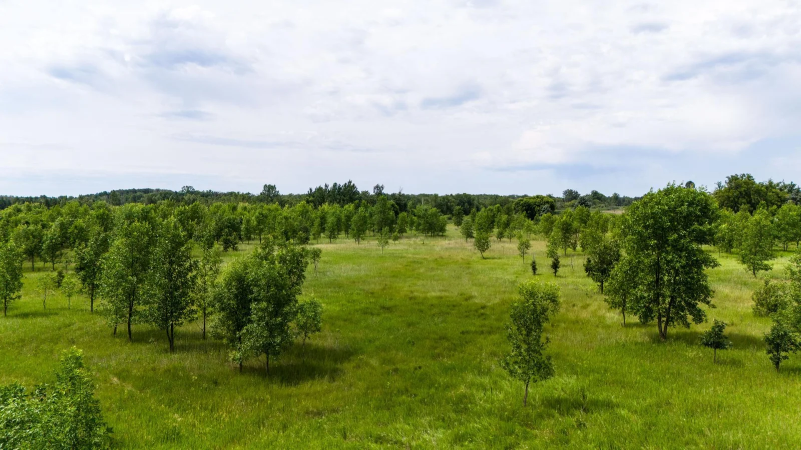 Peaceful 5.93-Acre Lot on the Long Prairie River!