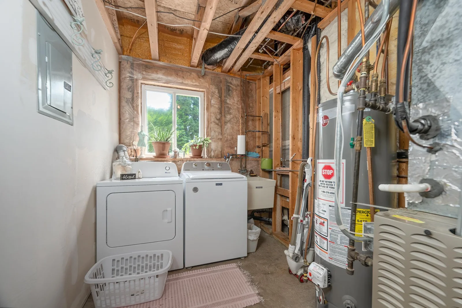 Lower Level Laundry / Mechanicals