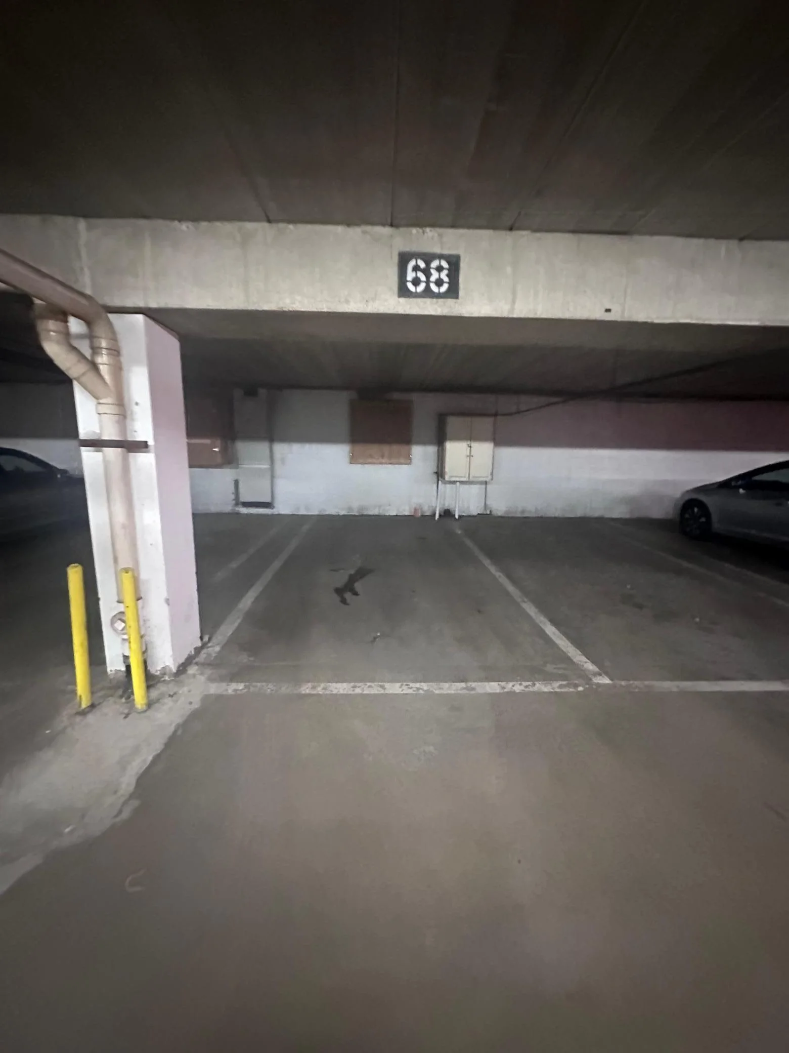 IMG_5339.jpeg