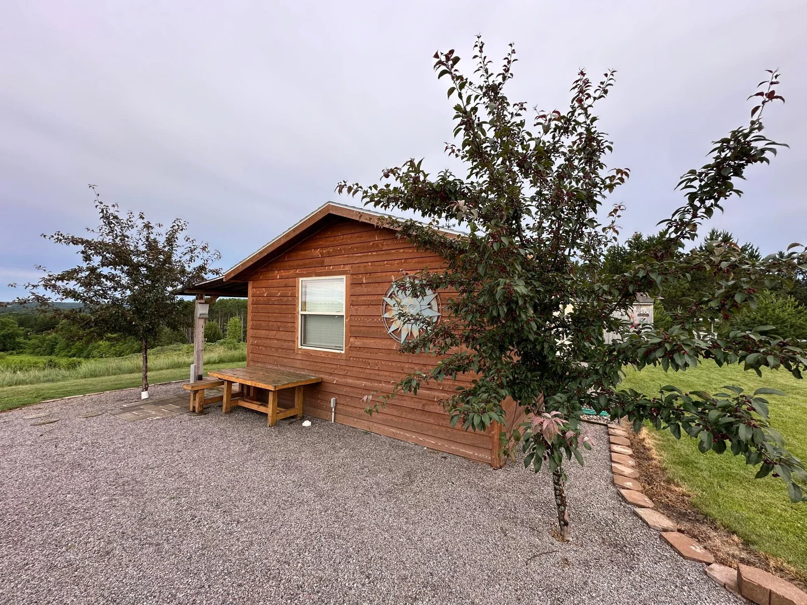 Side/crab apple trees