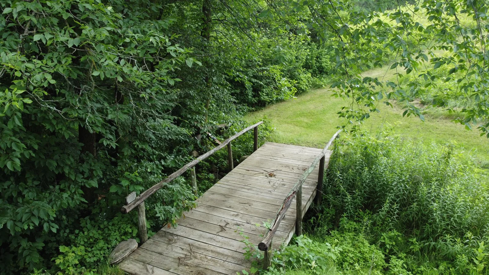 Bridge