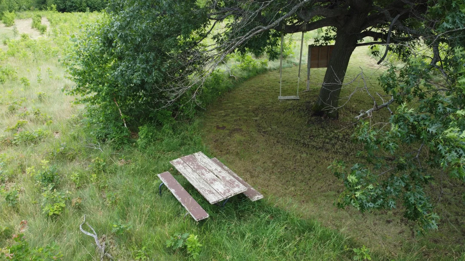 Picnic area/swing