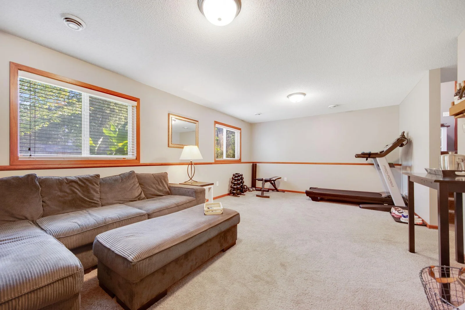 Tons of space and light in the lower level!