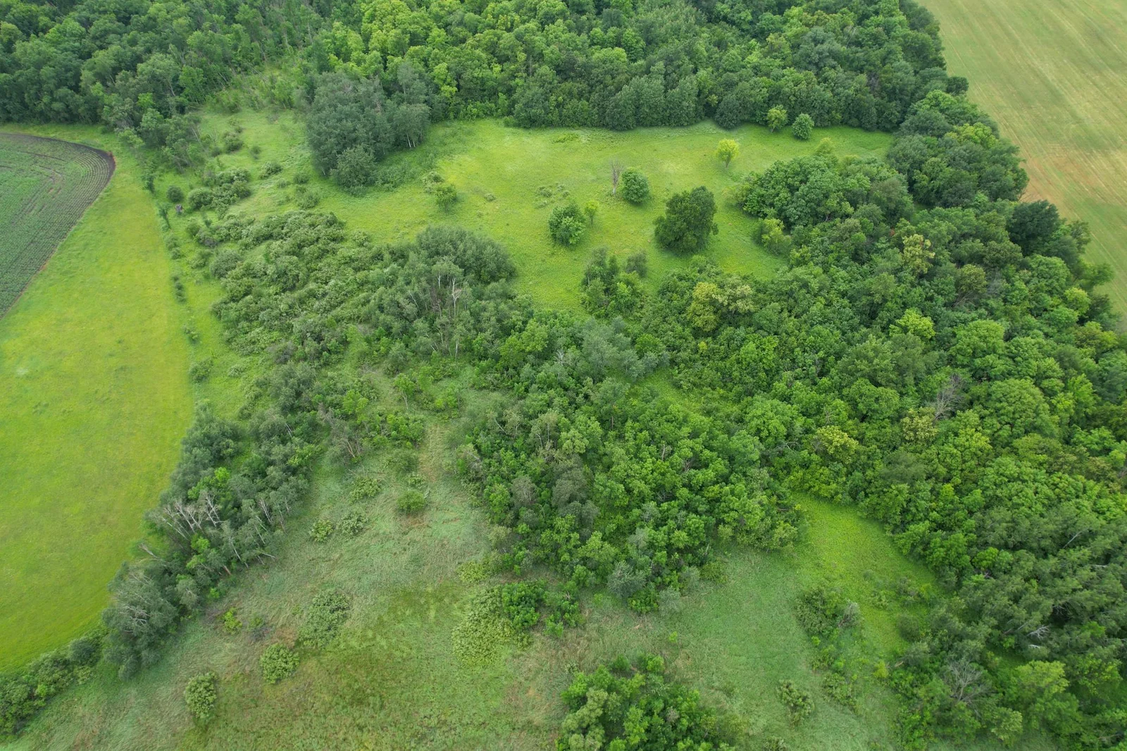 dji_fly_20250707_144018_750_1751917582295_photo.jpg
