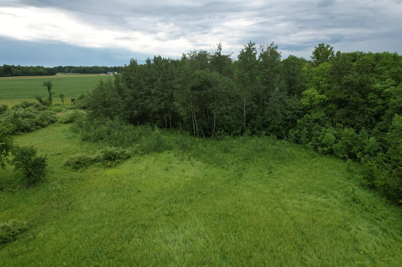 dji_fly_20250707_144330_758_1751917564021_photo.jpg