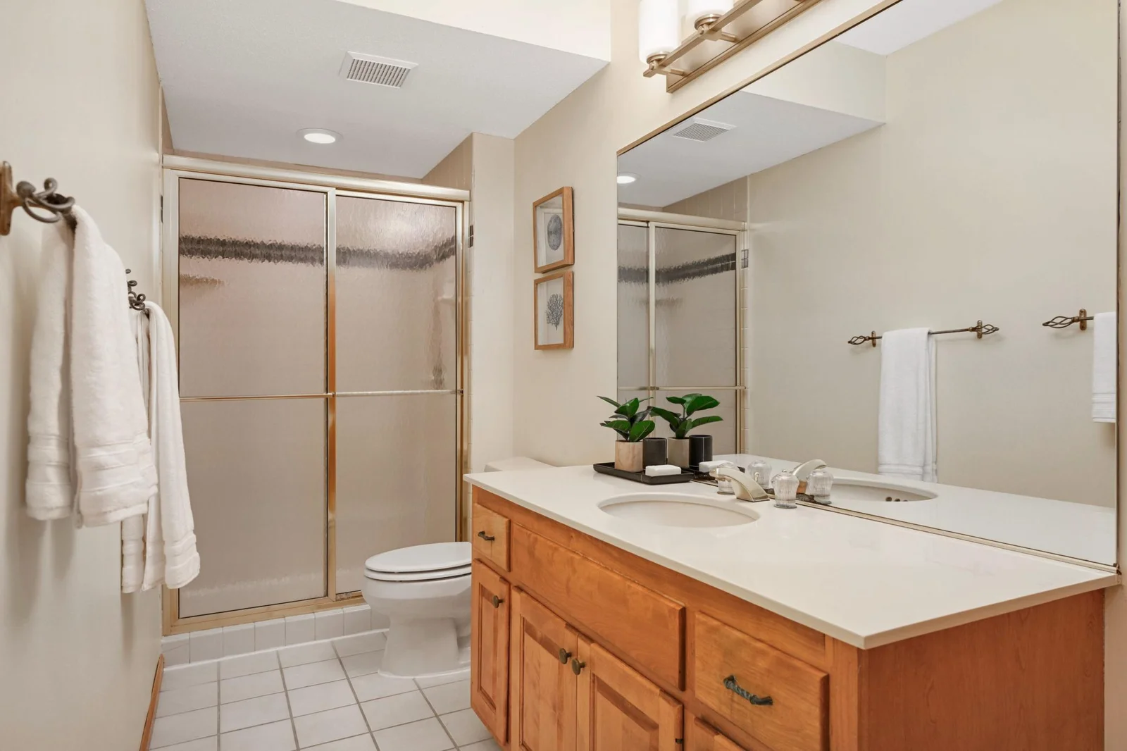Bathroom Lower Level