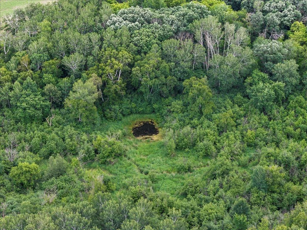 11-DJI_20250630143717_0578_D.jpg