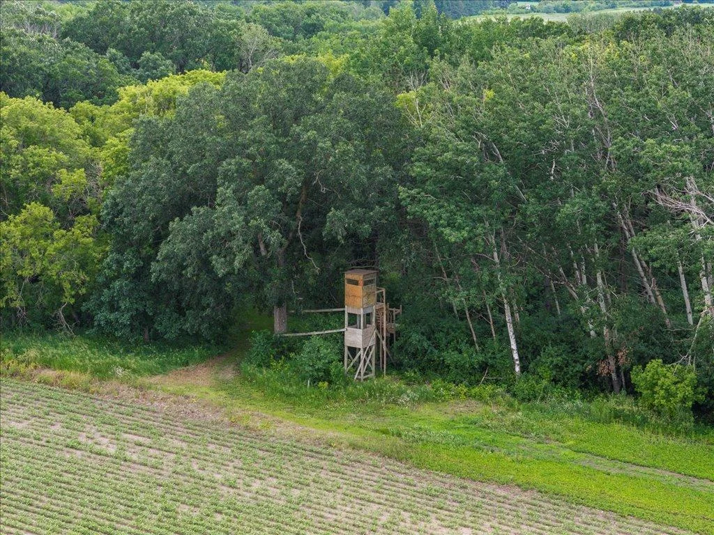 09-DJI_20250630143517_0567_D.jpg