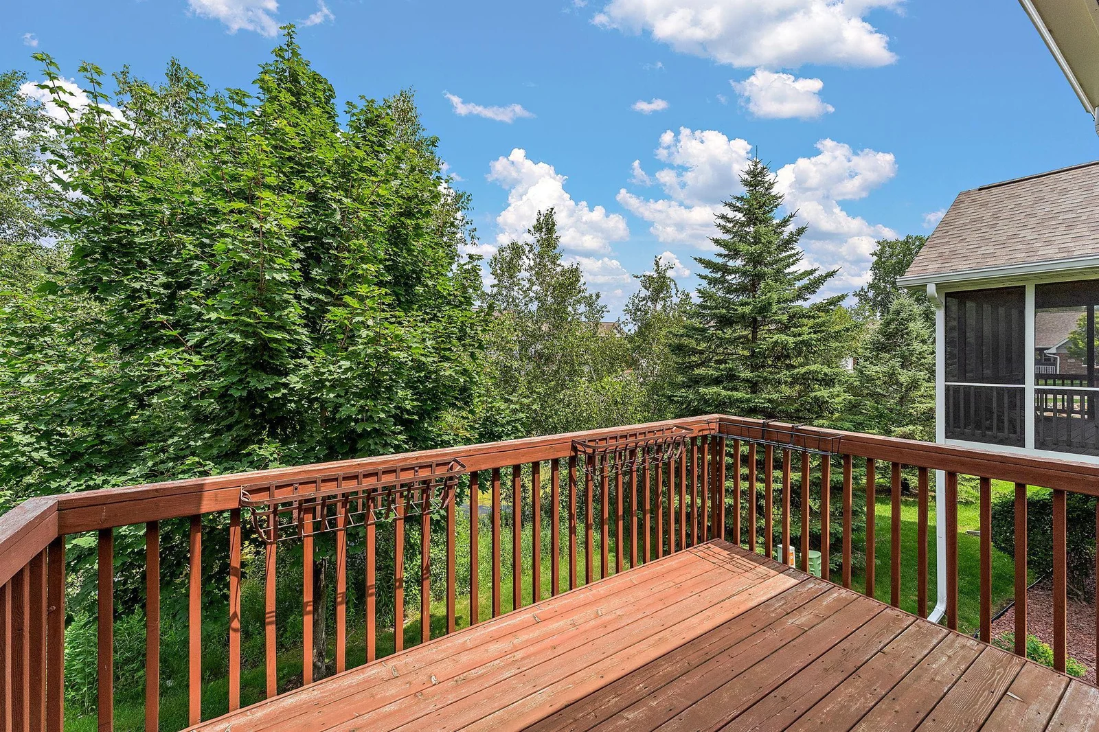 Deck Views of The Pond