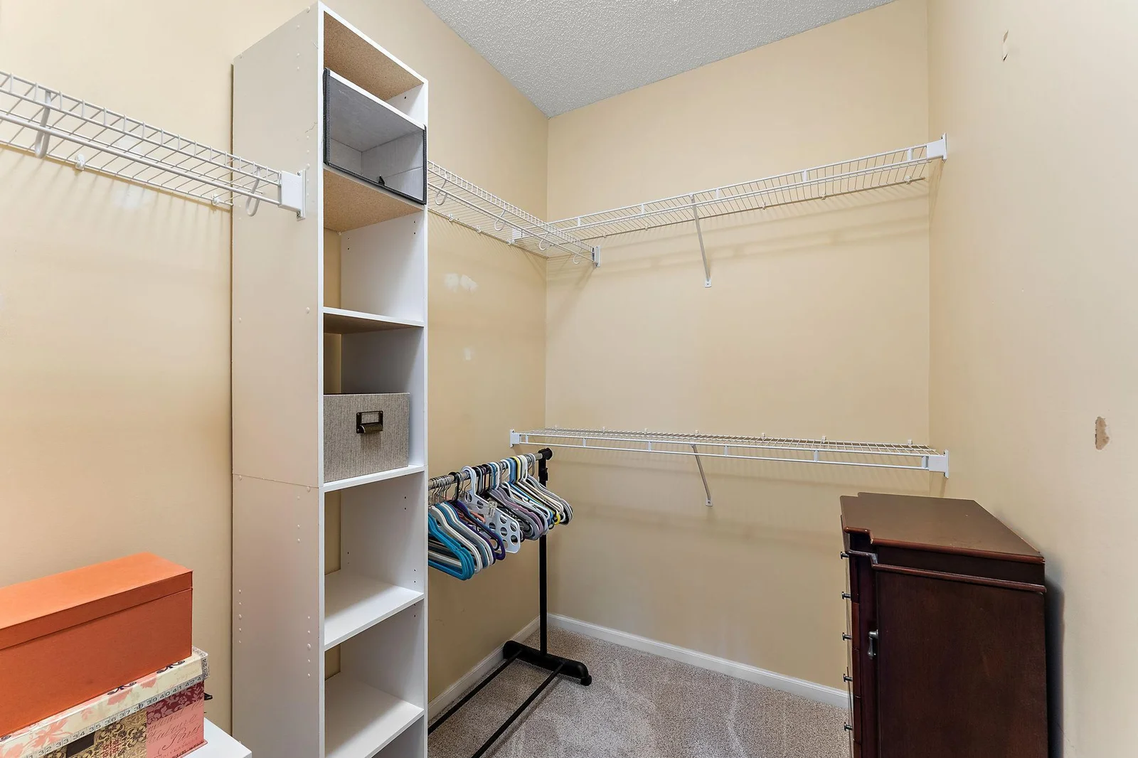 Primary Bedroom Walk-In Closet