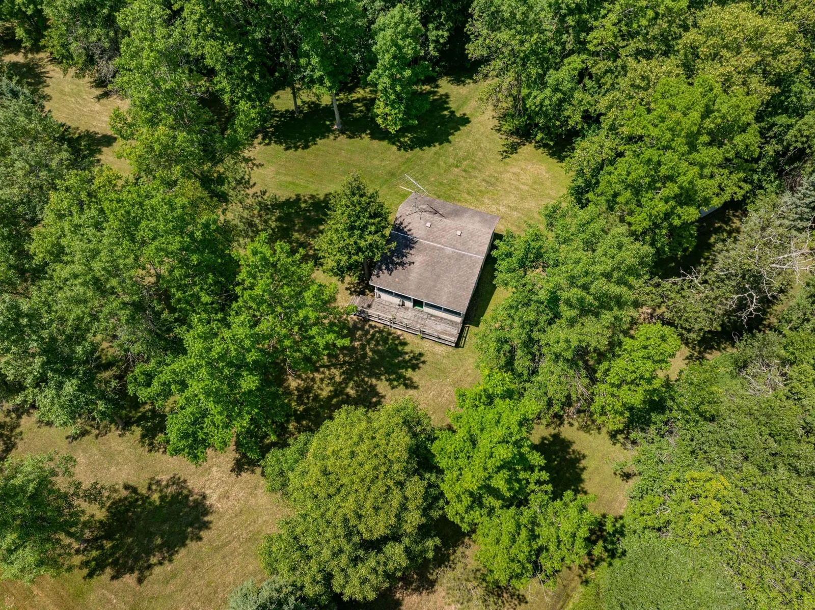 The cabins are nestled among the mature trees for privacy and a true north woods feel.