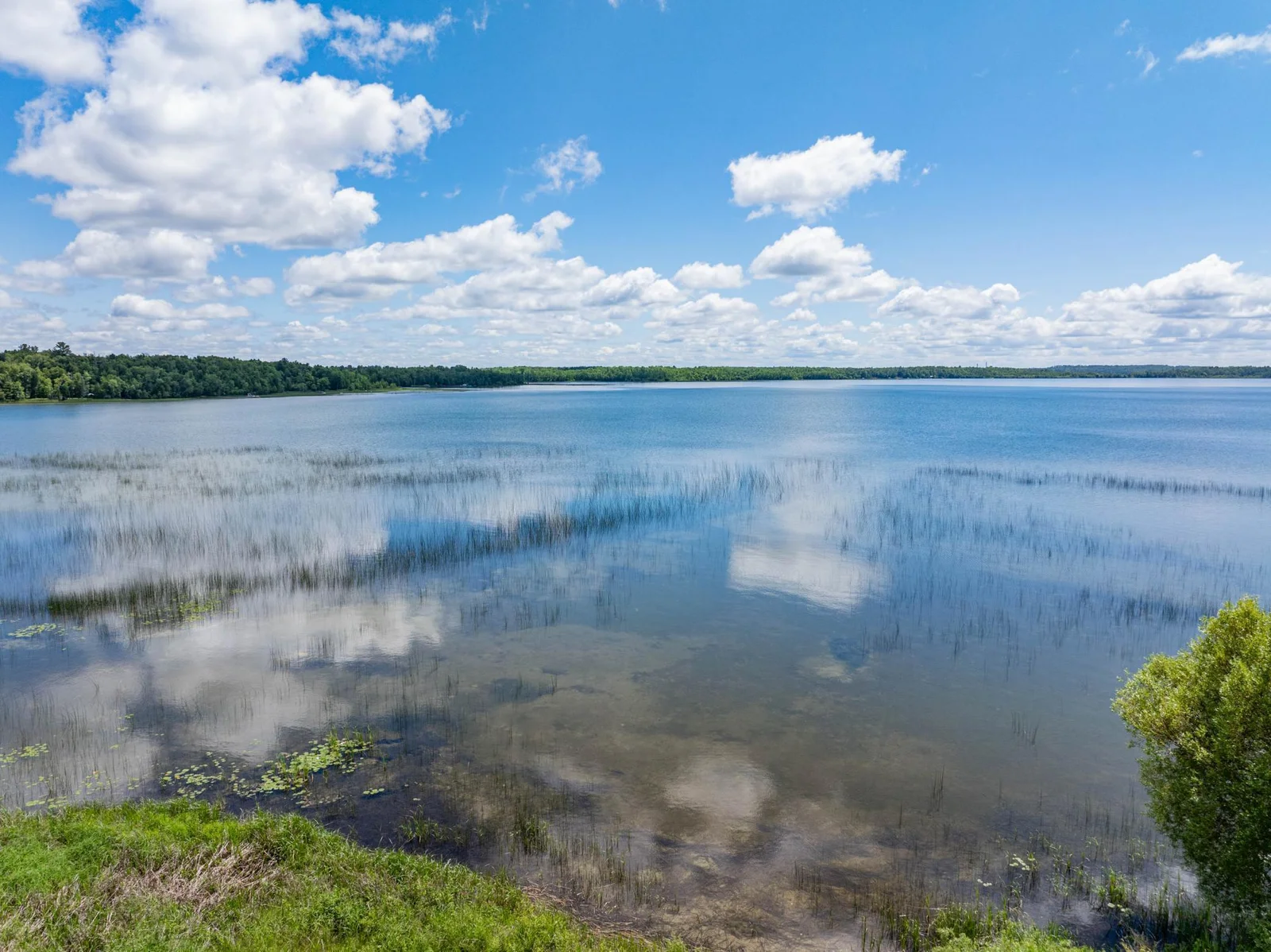 Beautiful lakefront and shoreline on Moose Lake.