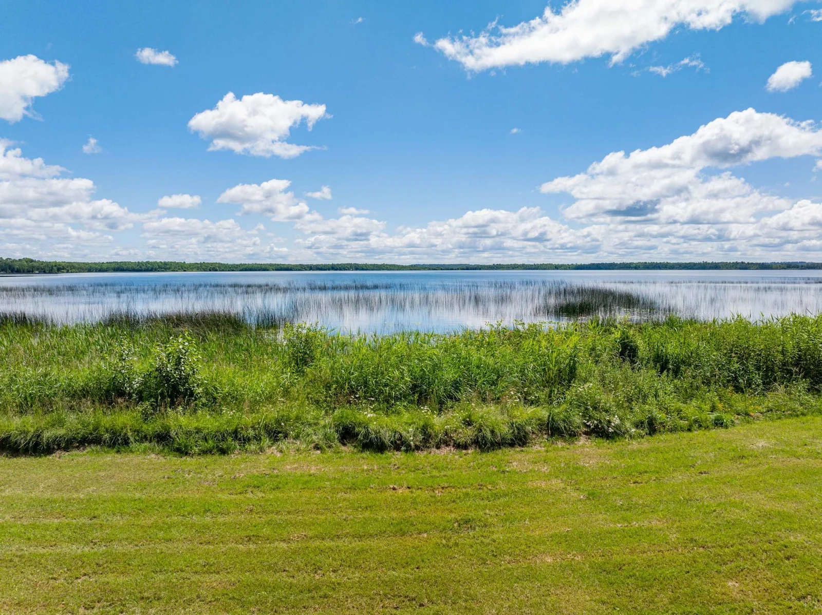 Beautiful shoreline with view of the lake from nearly anywhere on the property.