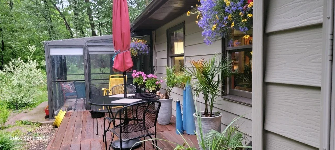 Back patio