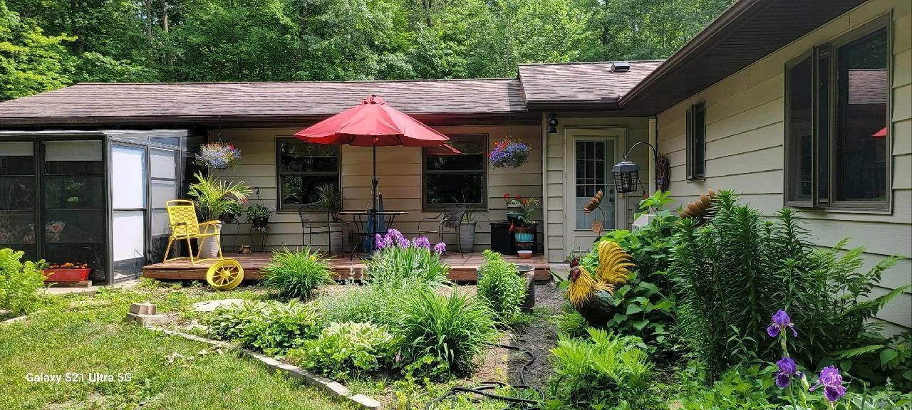 Back patio