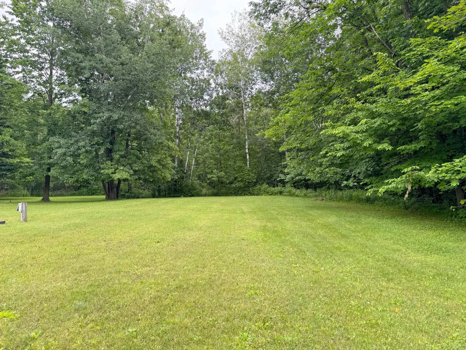 Looking at the massive yard space behind the camper, nestled in among tree coverage for privacy!