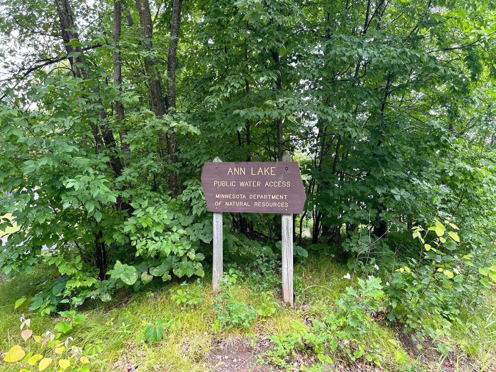 Ann Lake public access is 3/10 of a mile from this fantastic lot! Enjoy all the lake amenities without paying lakeshore ownership taxes!