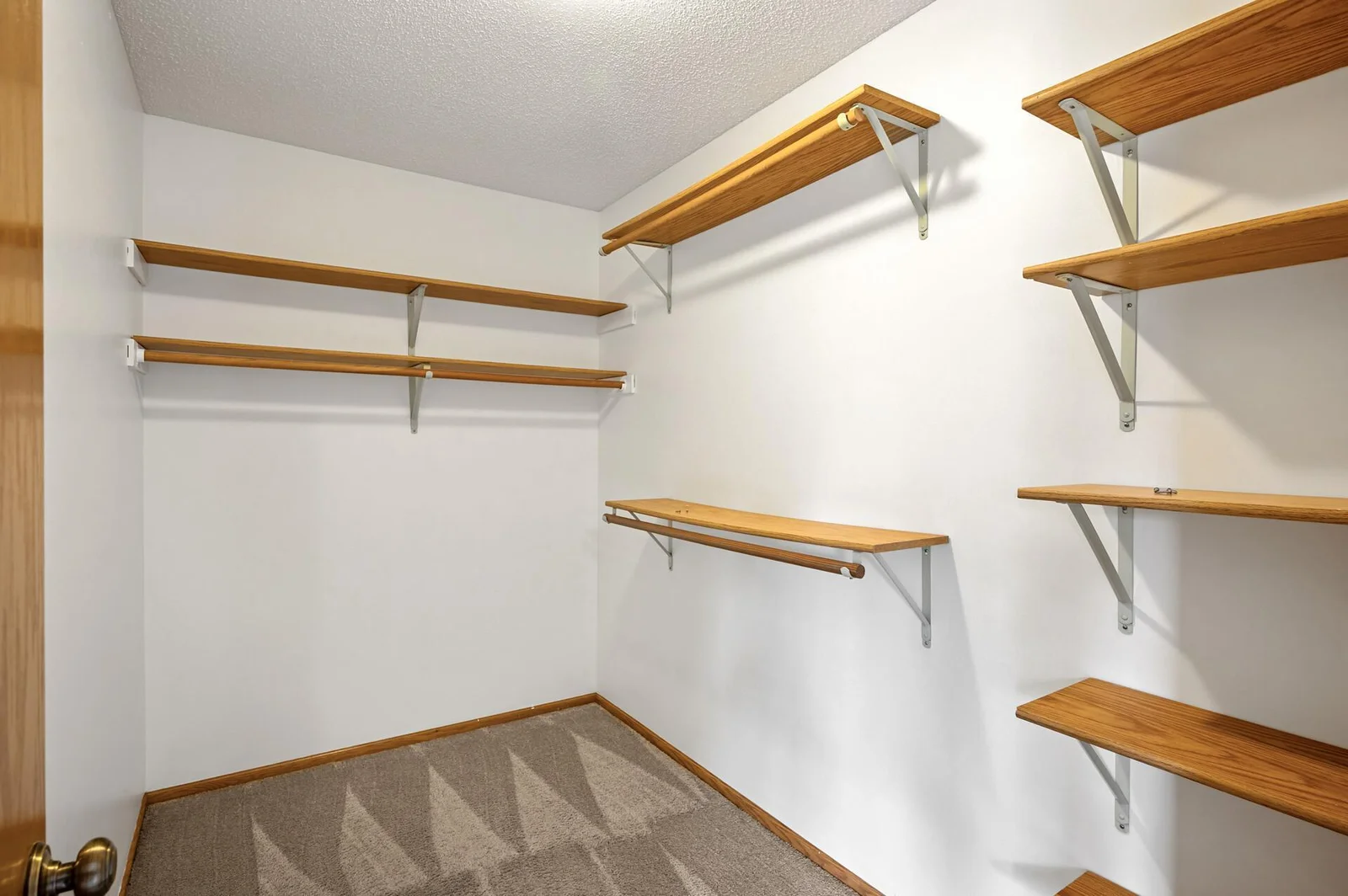Walk in closet already has some organizational components!