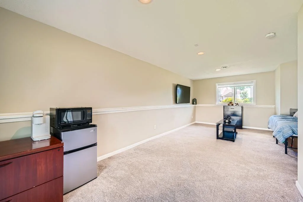 Lower level living area