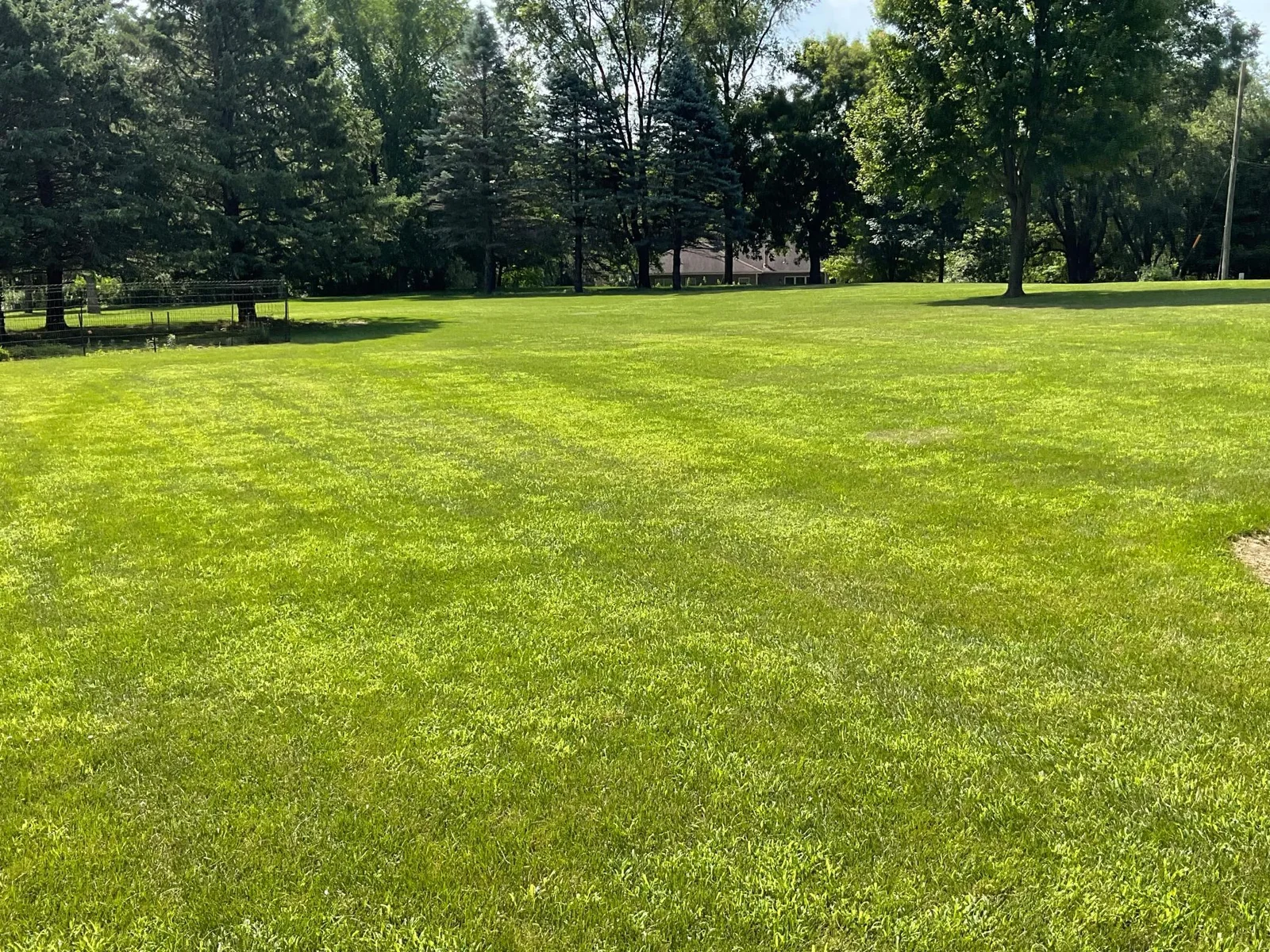 Side Yard