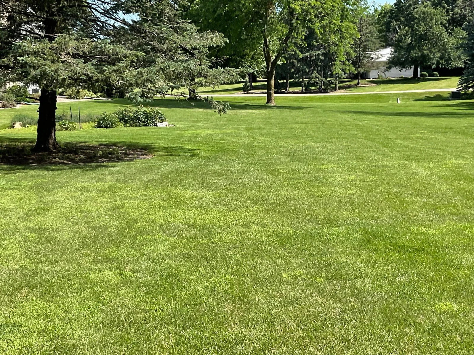 Side Yard