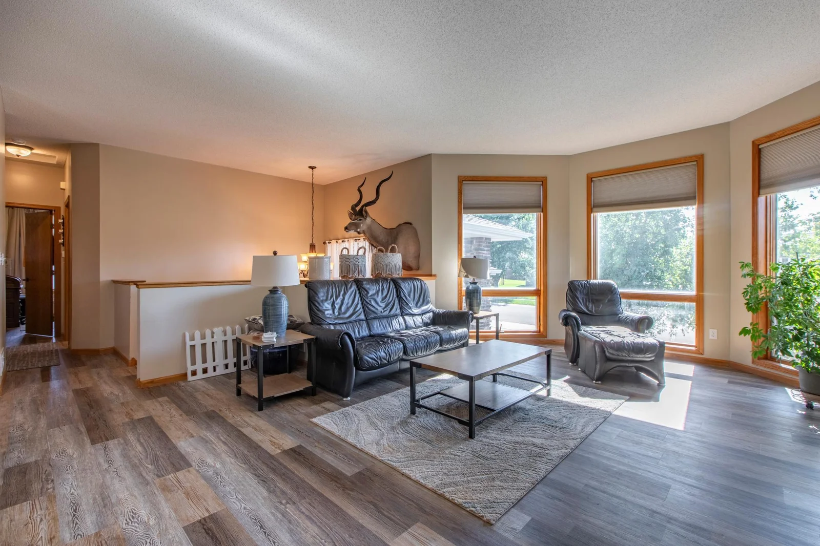 406 13th Ave NW Kasson-4.jpg