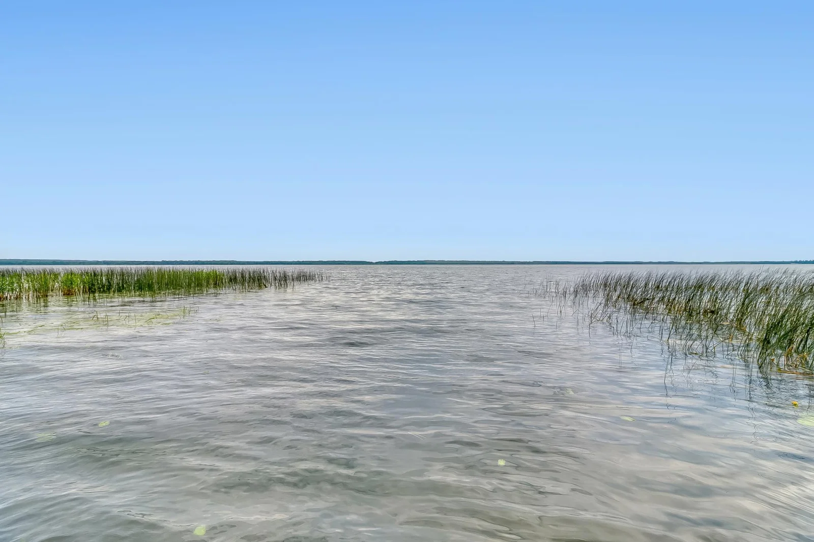 Lake1_5.jpg