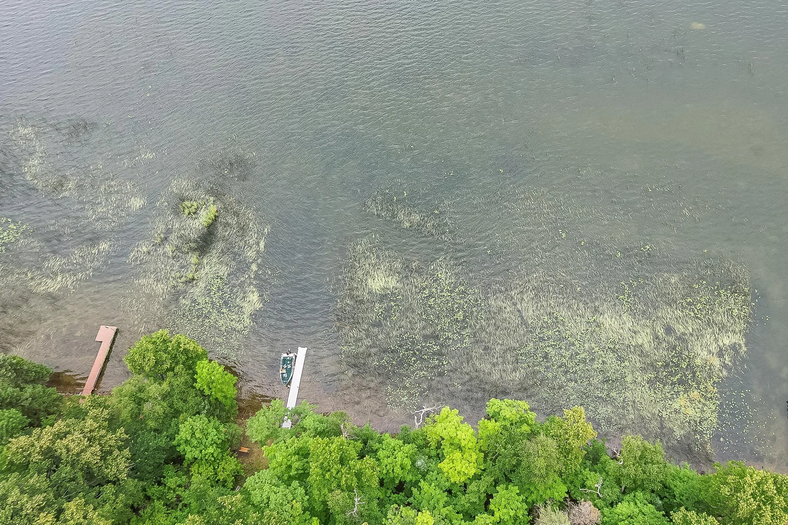 Drone1_5.jpg
