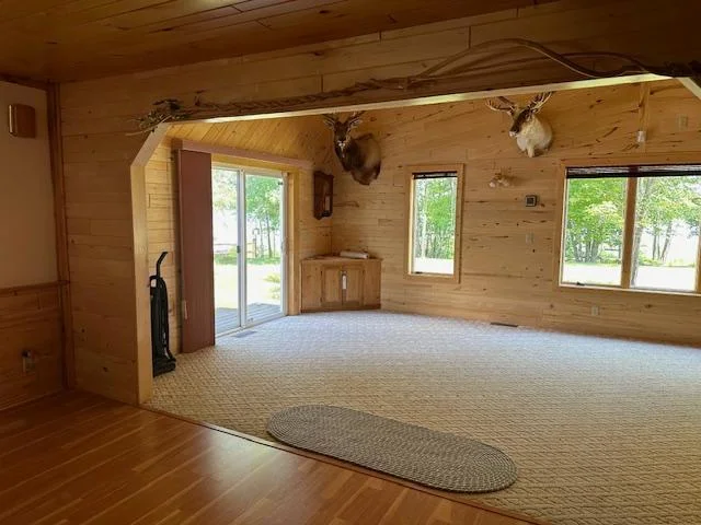 Basswood interior