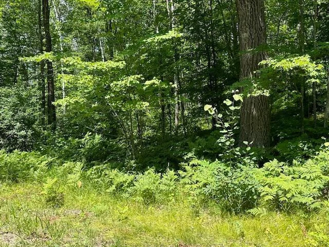 Nicely wooded back acres with trails throughout