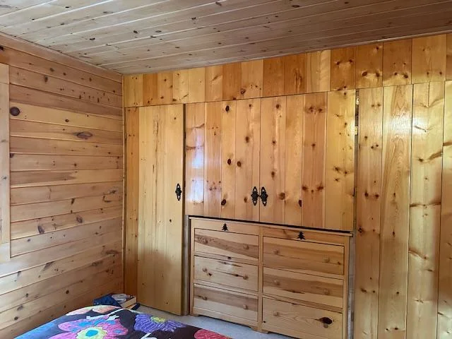 Built ins in Bedroom