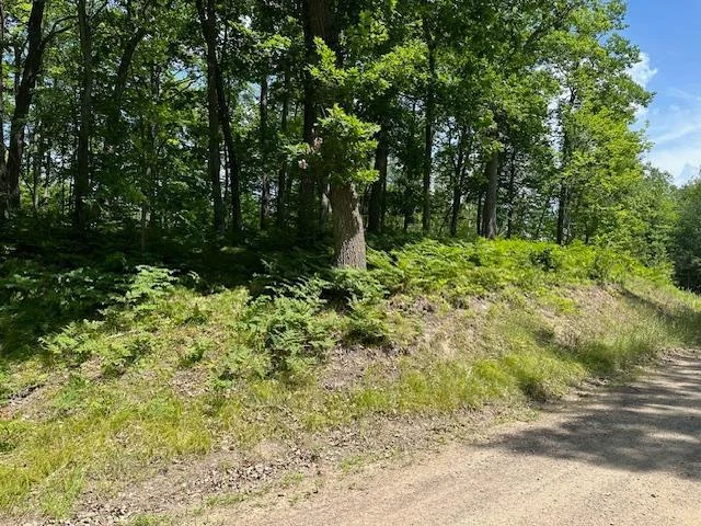 1/31 interest in 32 Acre back lot
