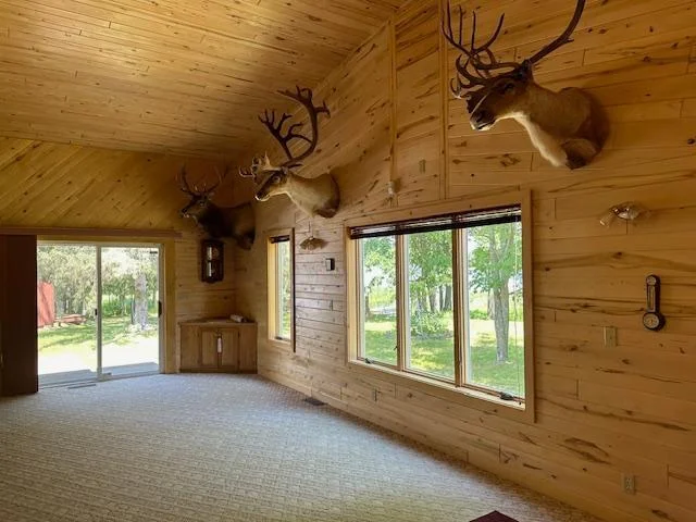 Vaulted Ceilings in Family Room