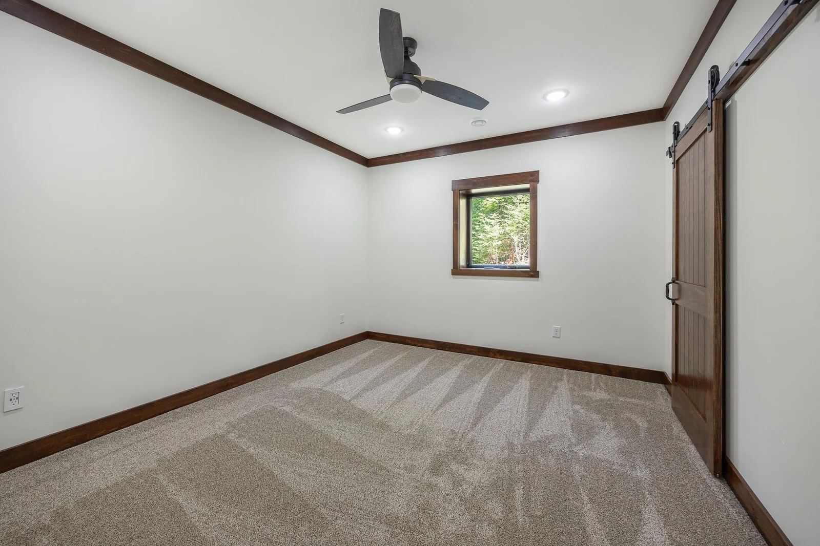 Lower level bedroom