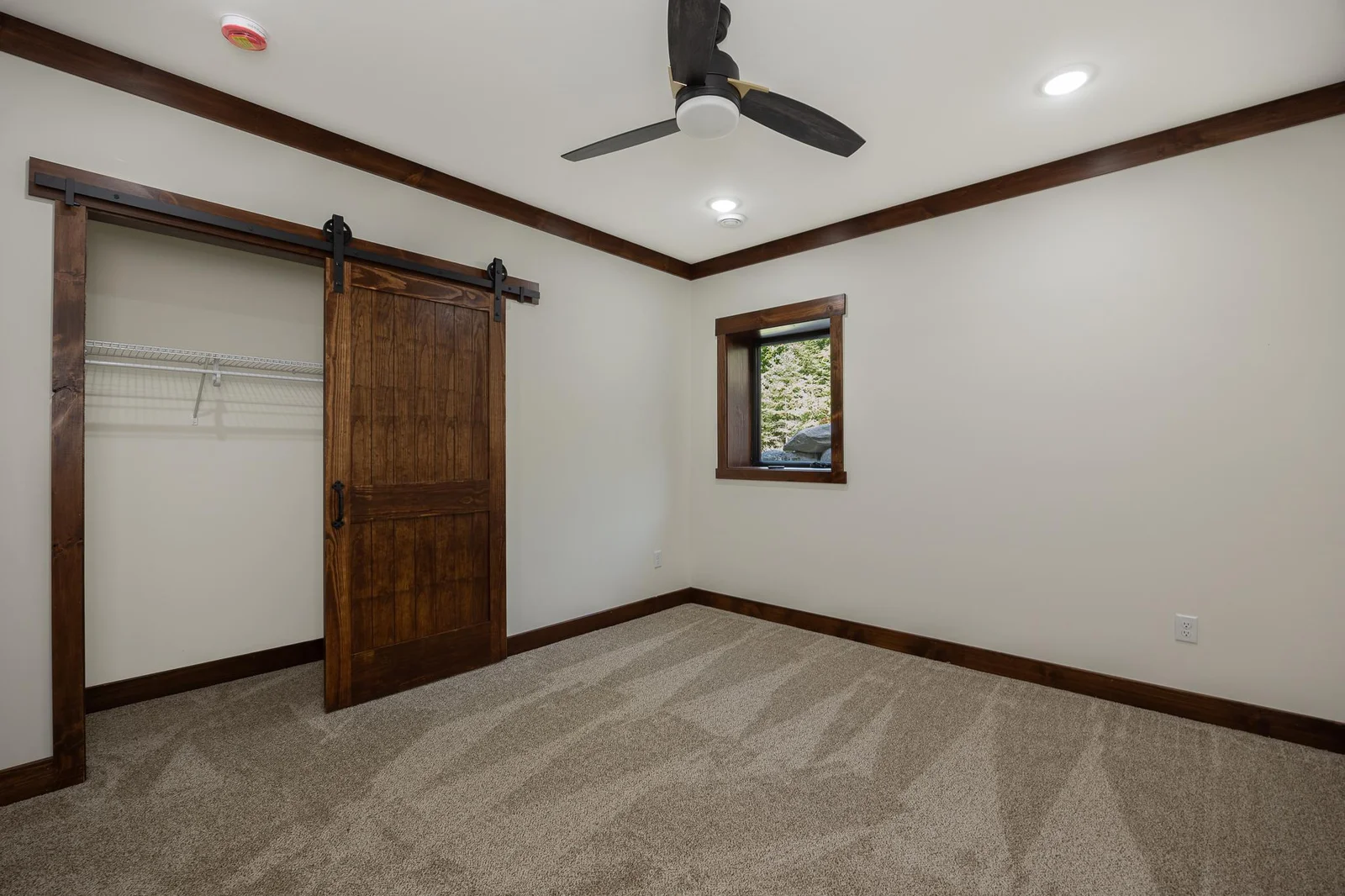 Second lower level bedroom