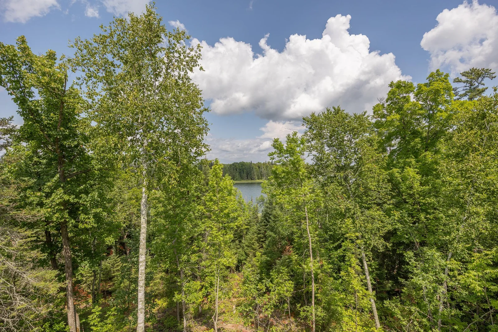 Lost Lake views