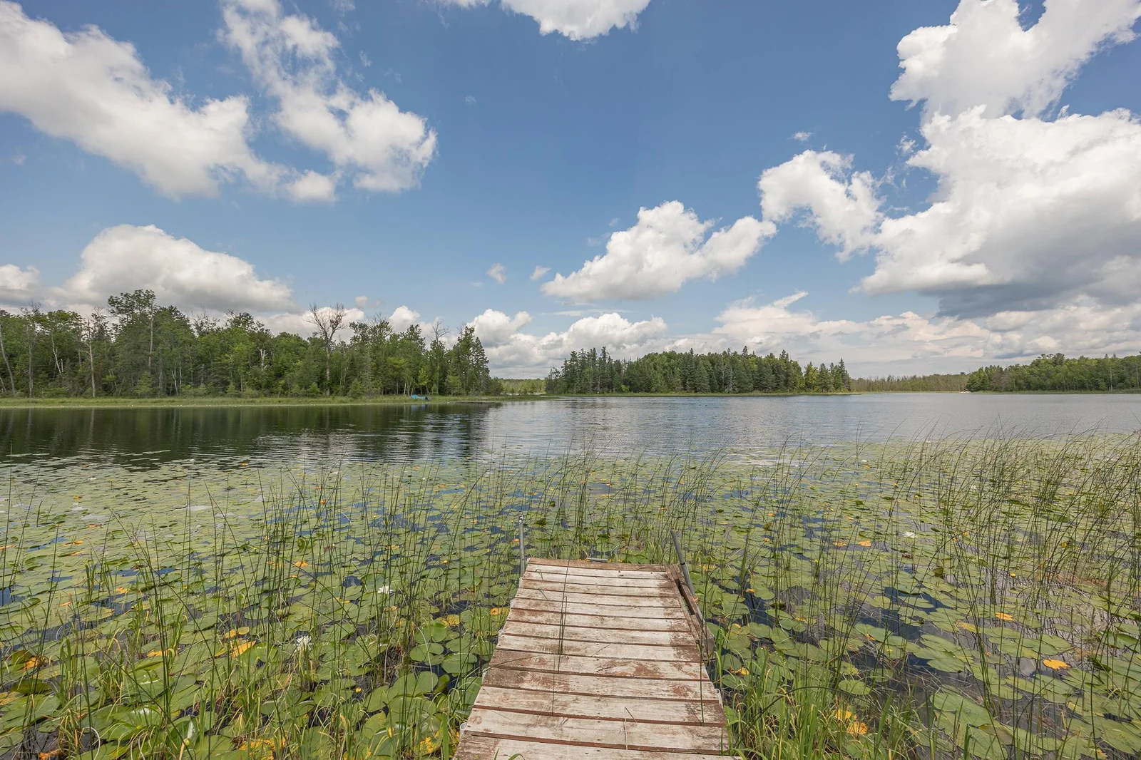 Enjoy the tranquility of Lost Lake