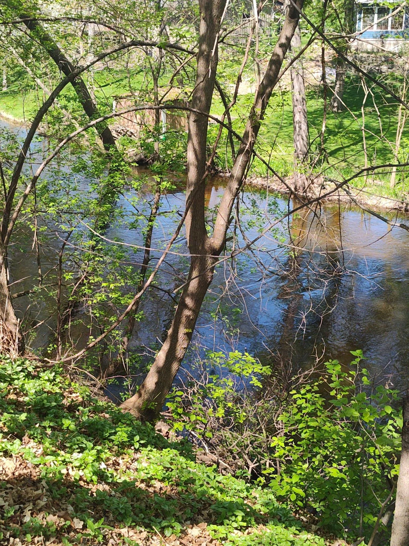 Located on Rice Creek offers serene views and privacy