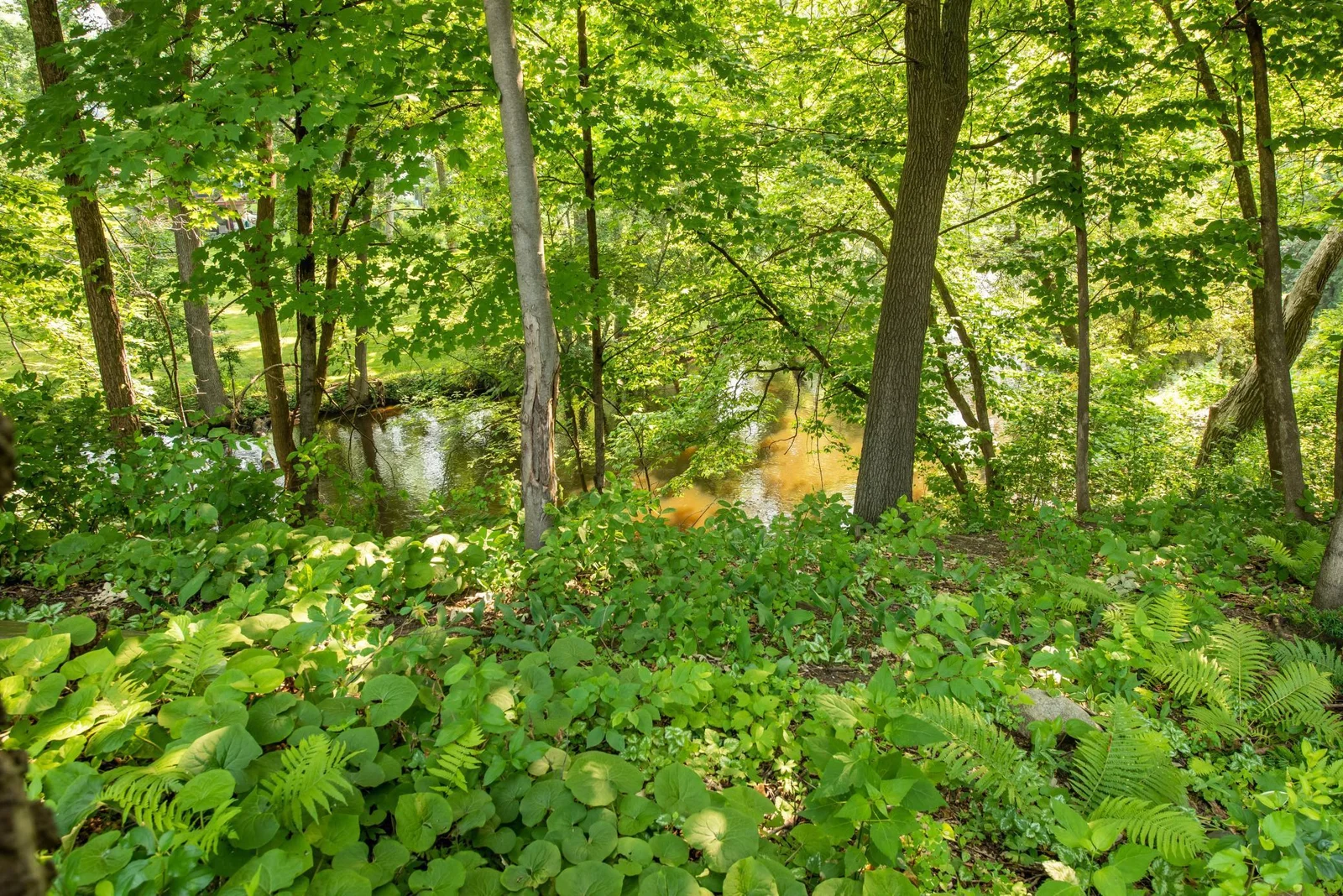 DSC_3352.jpg