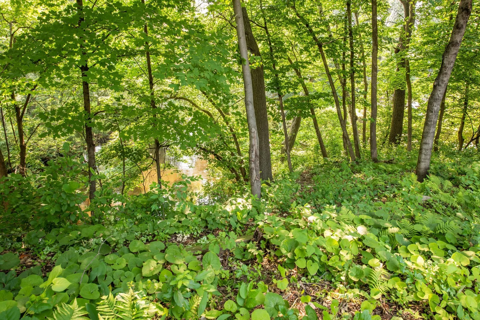 DSC_3354.jpg