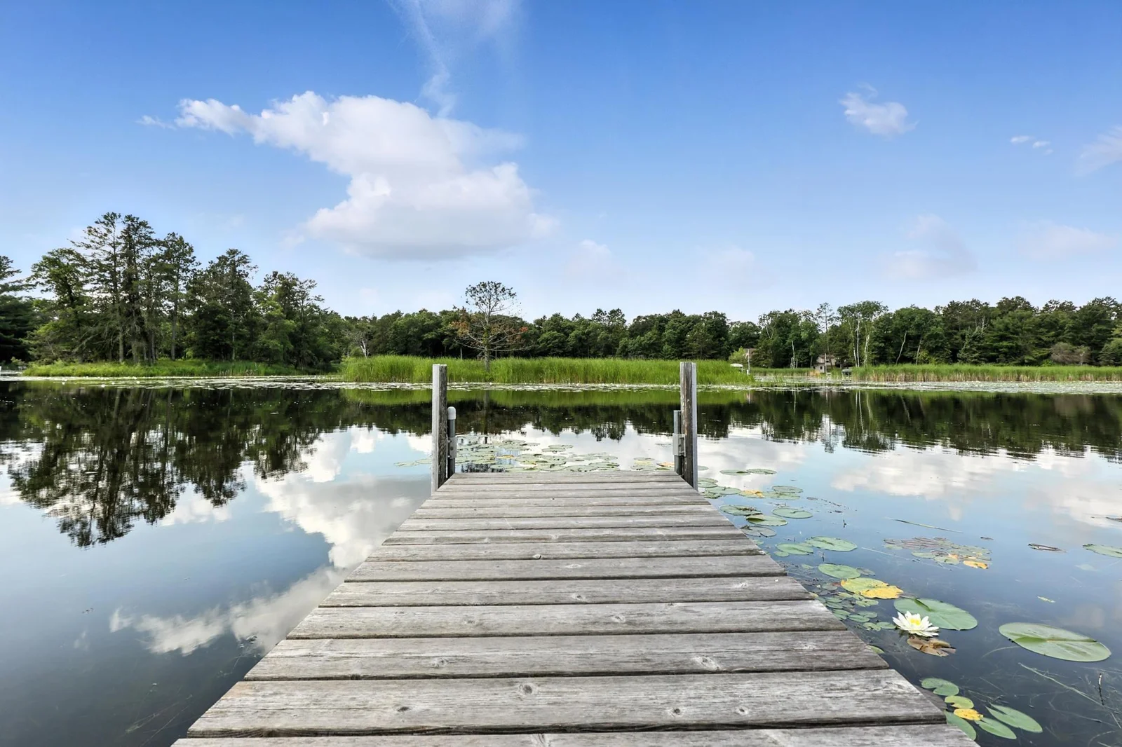 Tranquil setting at the end of private community dock in a calm bay with lush surroundings and peaceful reflections.