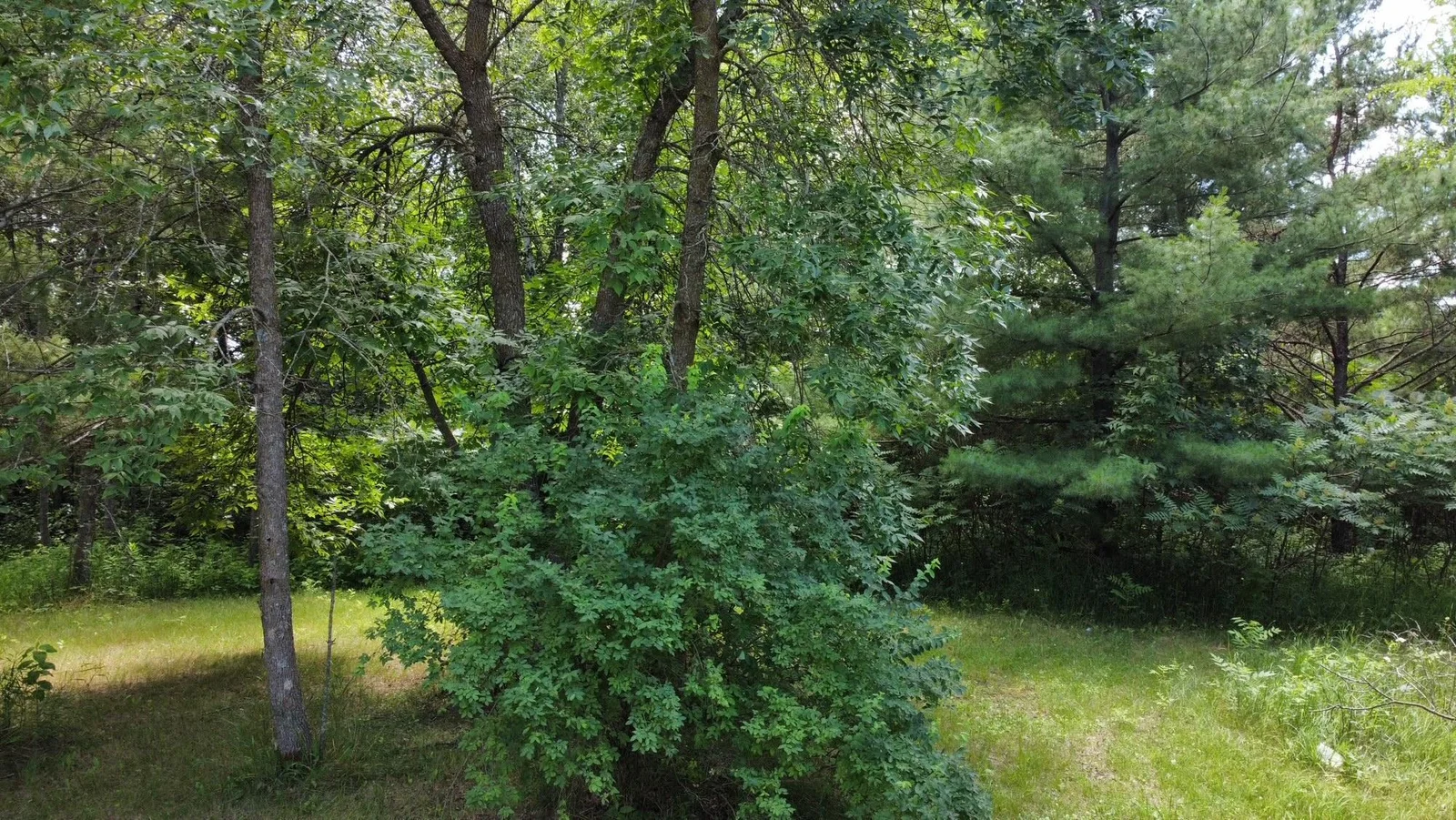 Thumbnail photo 19