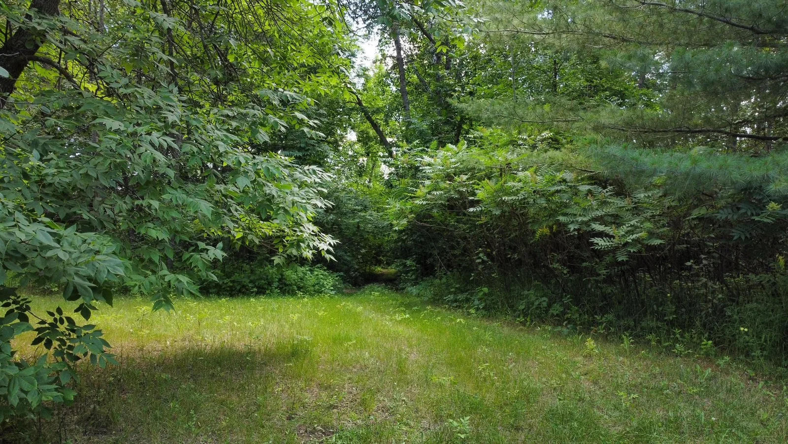 Thumbnail photo 16