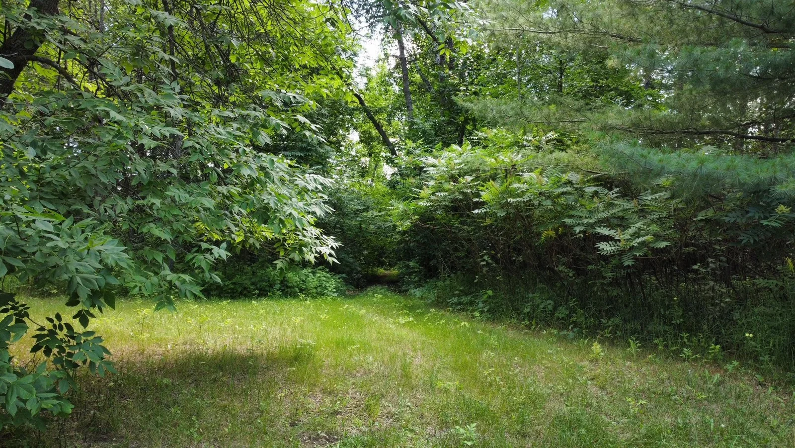 Thumbnail photo 15