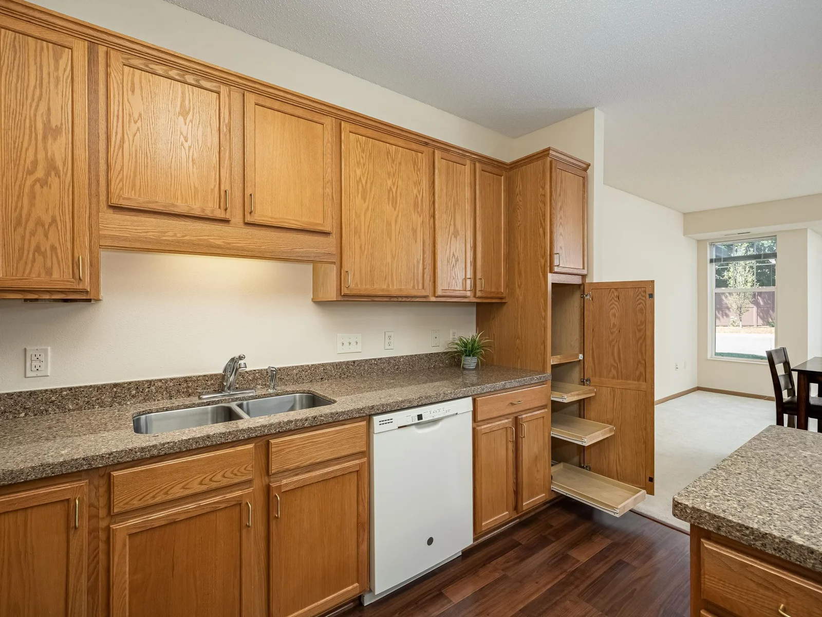 Pull-outs in some of the cabinets and island cabinets.