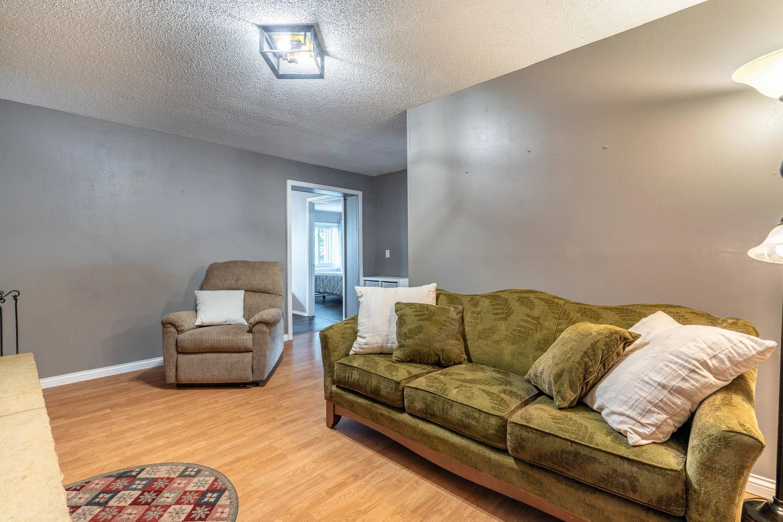 LOWER LEVEL LIVING ROOM/OFFICE