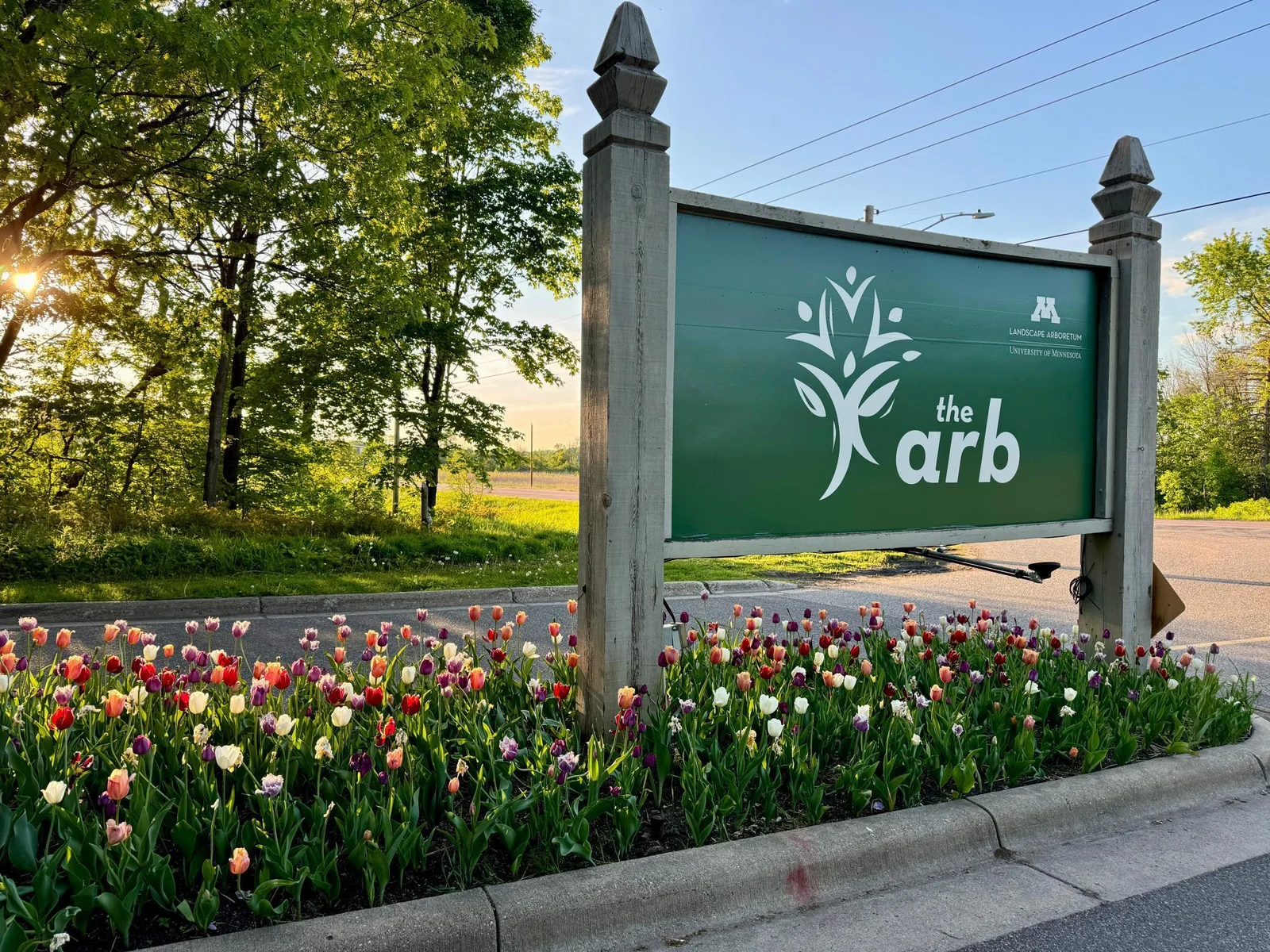 The MN Landscape Arboretum is just down the road and always offers opportunities to enjoy the seasons.