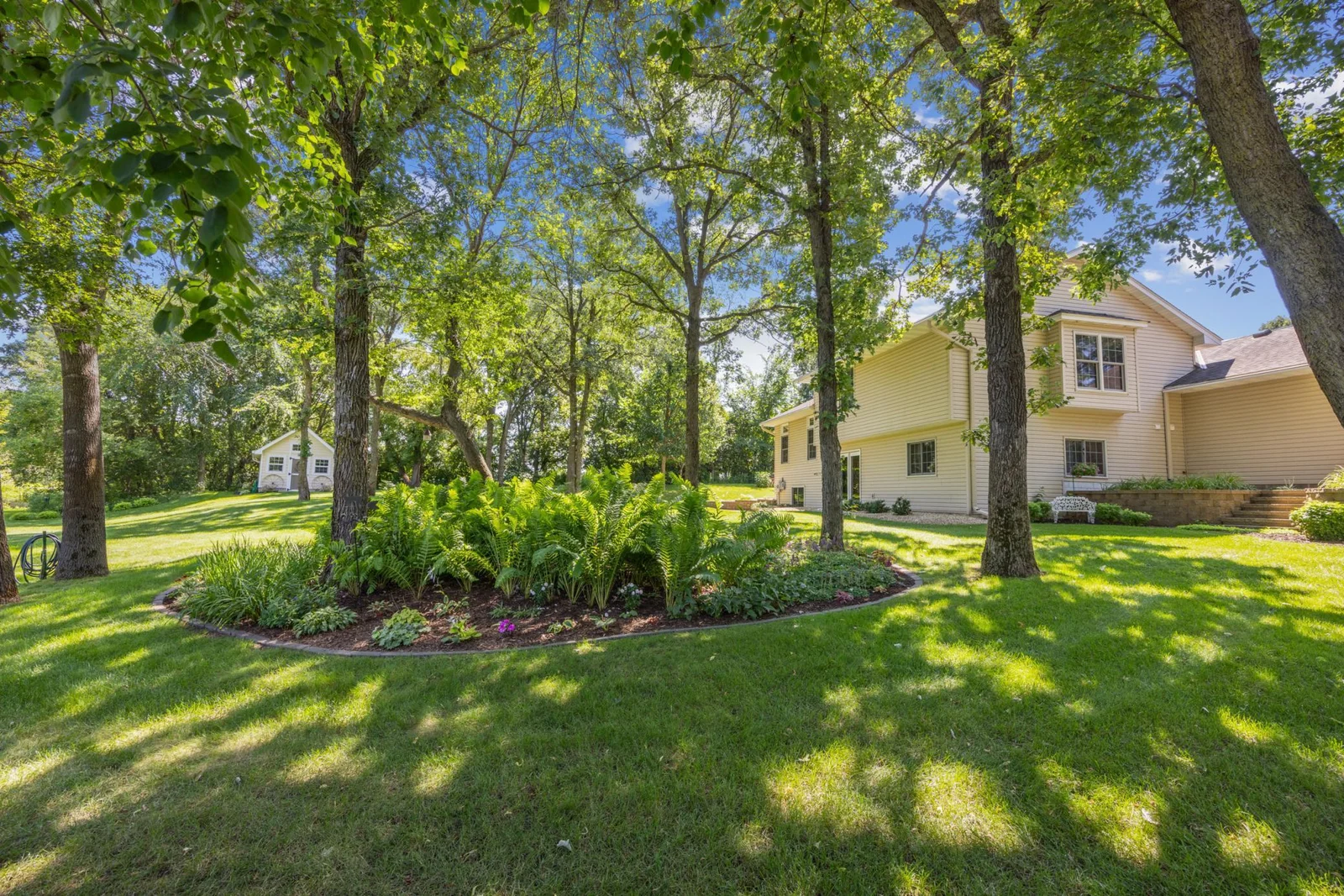 Great tree line and perennials!